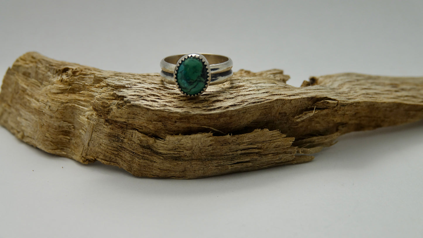 Tiny Turquoise - Oval - Size 5.5
