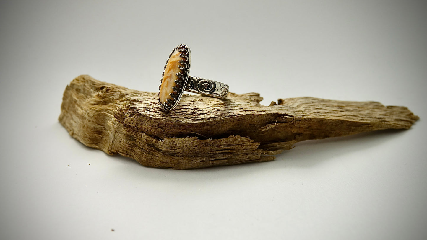 Spiney Oyster Shell Ring - Oval - Size 5.75