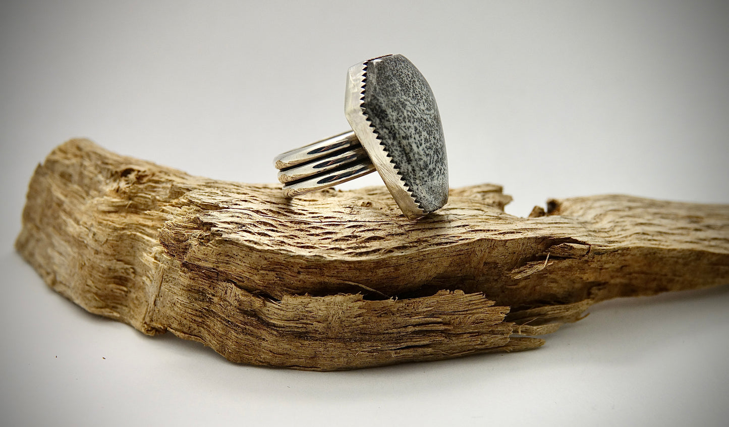 Dendritic Agate Ring - Coffin - Size 6.5