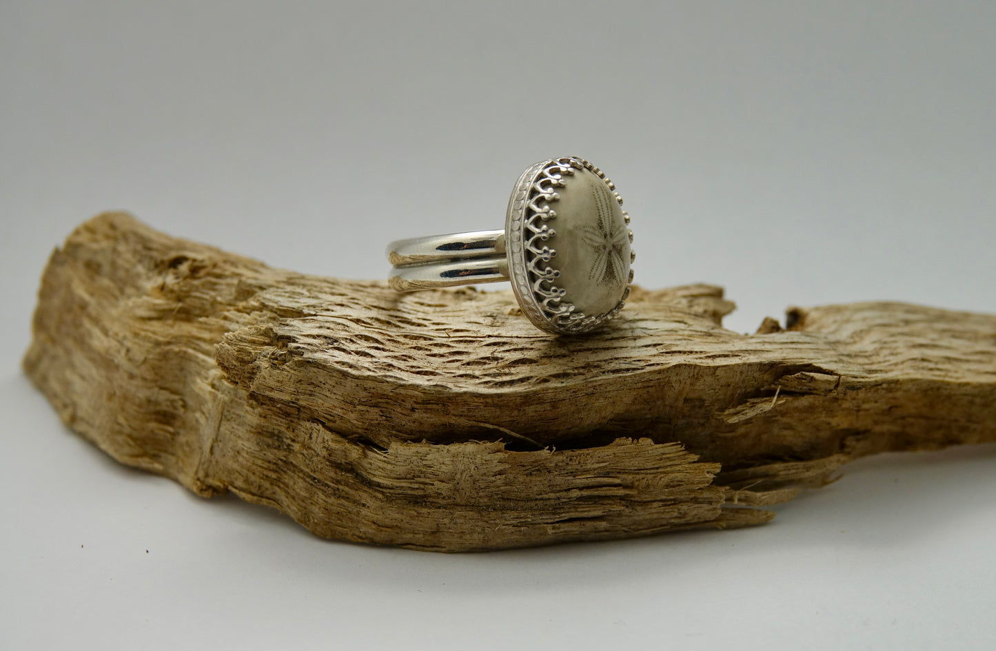 Tiny Fossilized Sand Dollar Ring - Round - Size 6.75