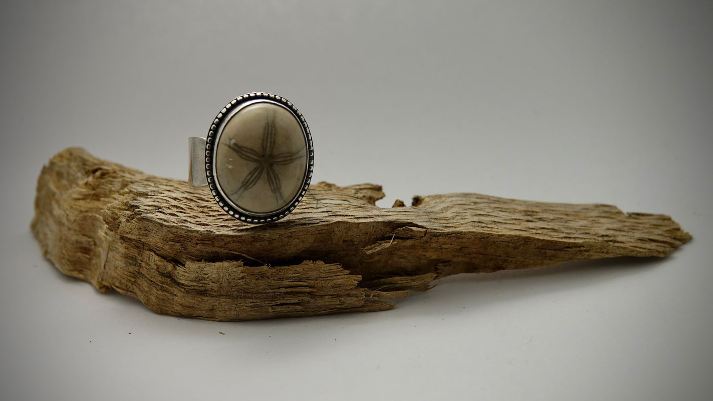 Sand Dollar Fossil Ring - Size 12.5