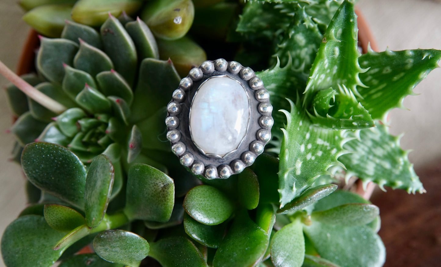 Rainbow Moonstone Ring - Oval - Size 5
