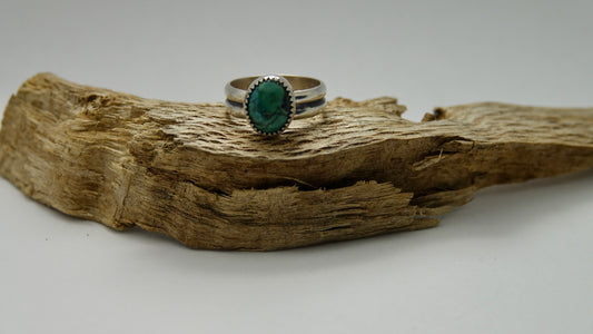 Tiny Turquoise - Oval - Size 5.5