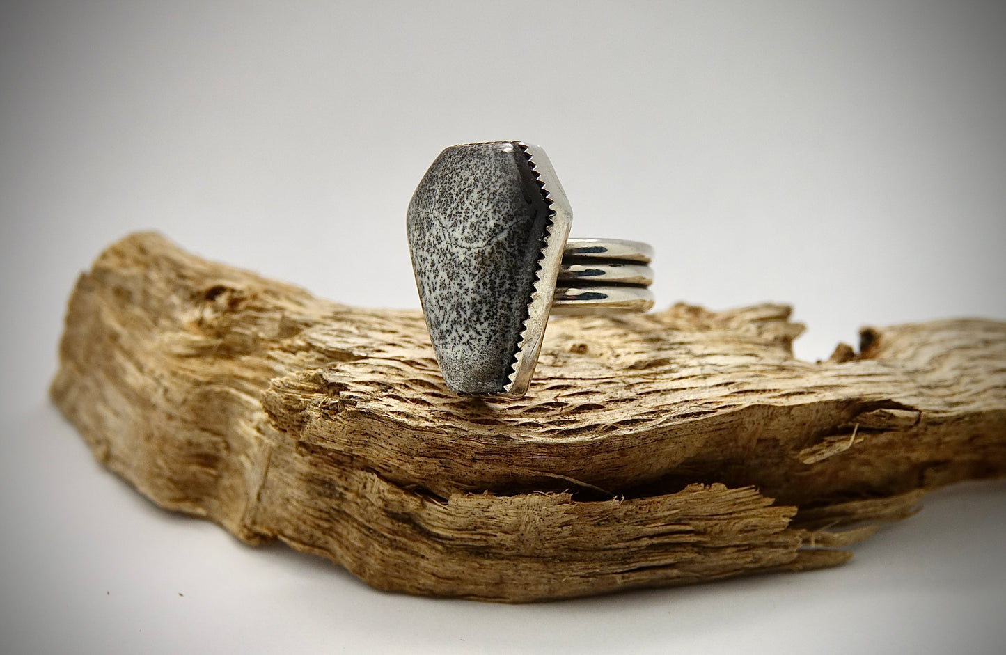 Dendritic Agate Ring - Coffin - Size 6.5