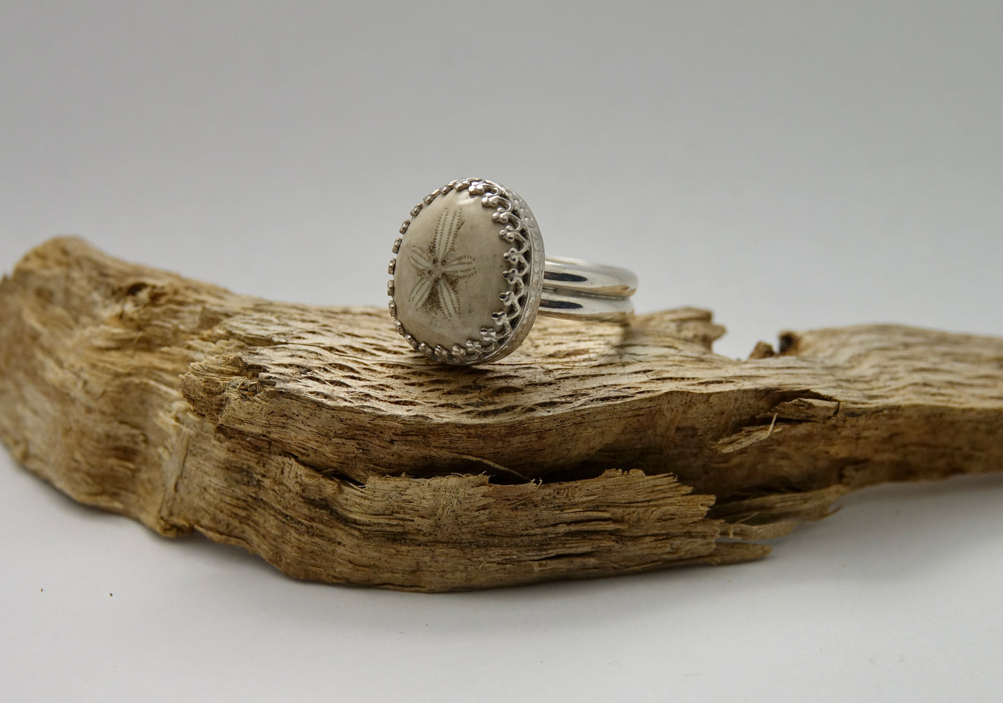 Tiny Fossilized Sand Dollar Ring - Round - Size 6.75