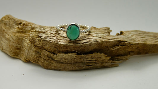 Tiny Turquoise - Oval - Size 8
