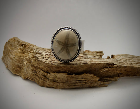 Sand Dollar Fossil Ring - Size 12.5